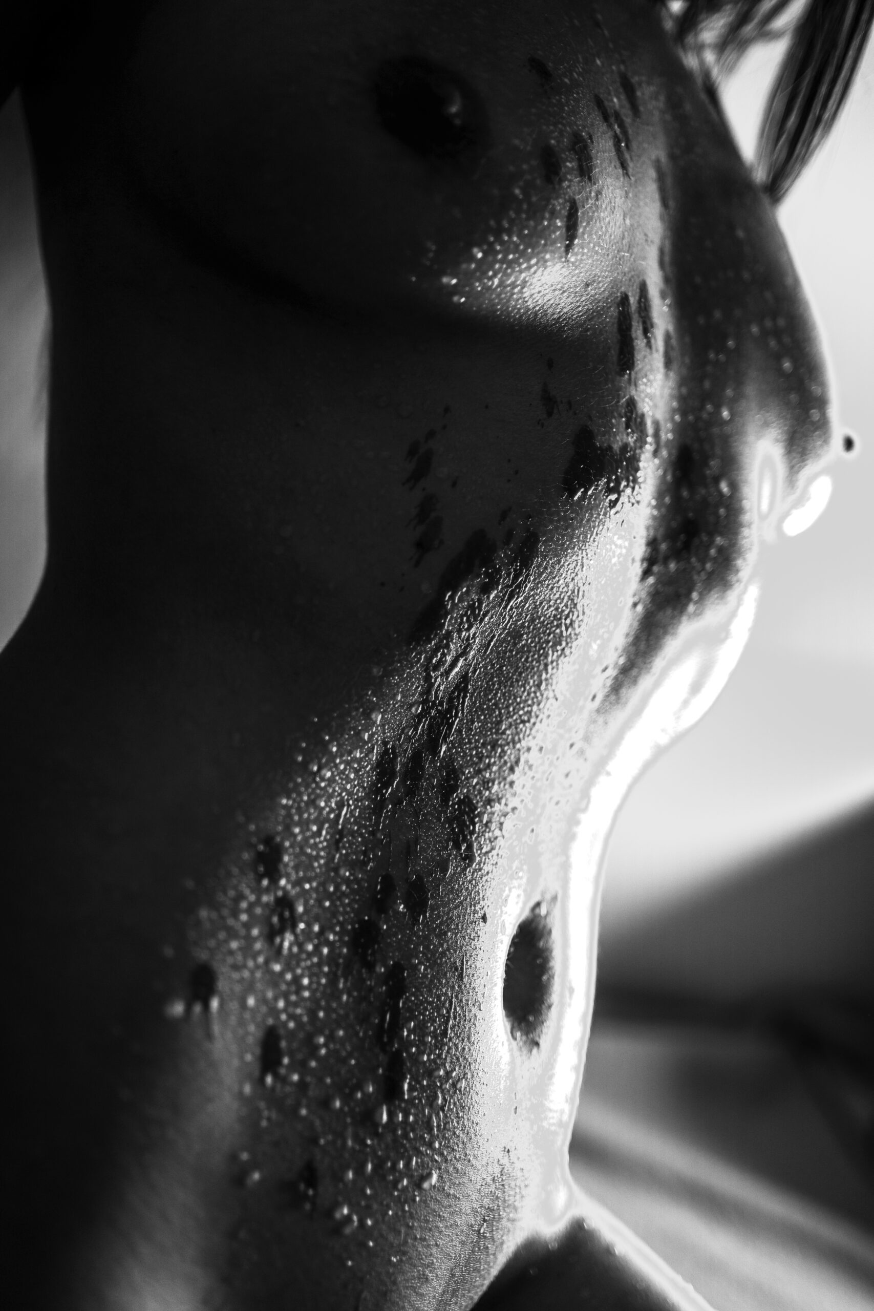 Image gallery image